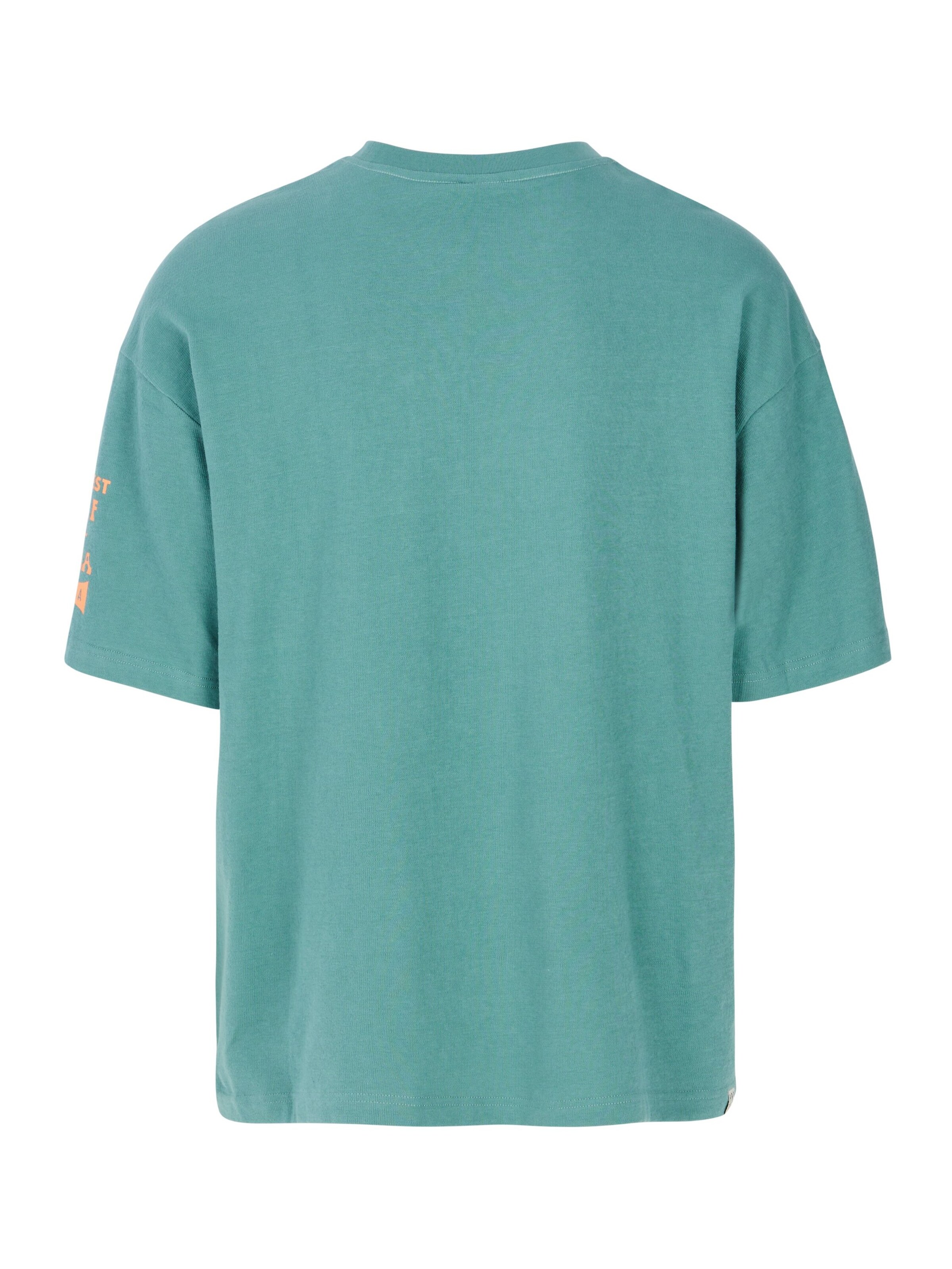 PROTEST Shirt 'PRTAval' in Green