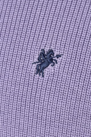 DENIM CULTURE Sweater 'EMILE' in Purple