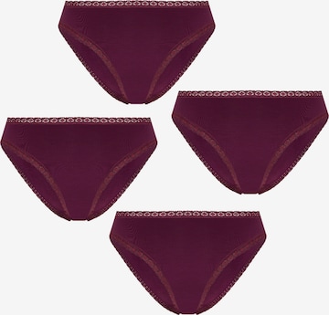 Albero Natur Panty 'Bio-Baumwoll-Slip mit Spitze – 4er Pack' in Purple: front