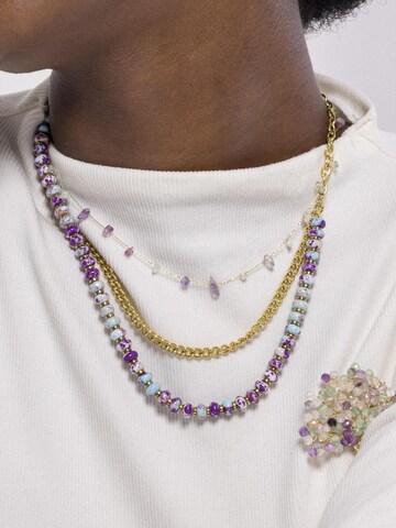 Chaîne 'Bidain' Luxenter en mélange de couleurs