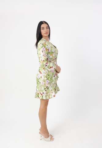 Elara Kleid in Grün