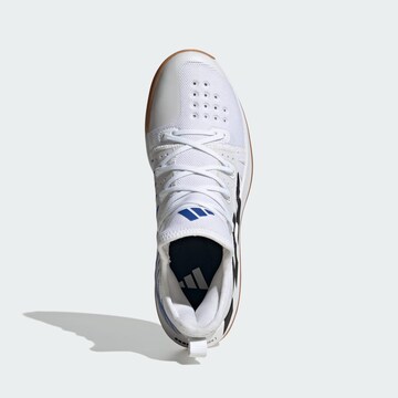 Chaussure de sport 'Stabil Next Gen' ADIDAS PERFORMANCE en blanc