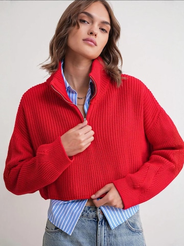 Pullover 'Pullover' di MixRay in rosso: frontale