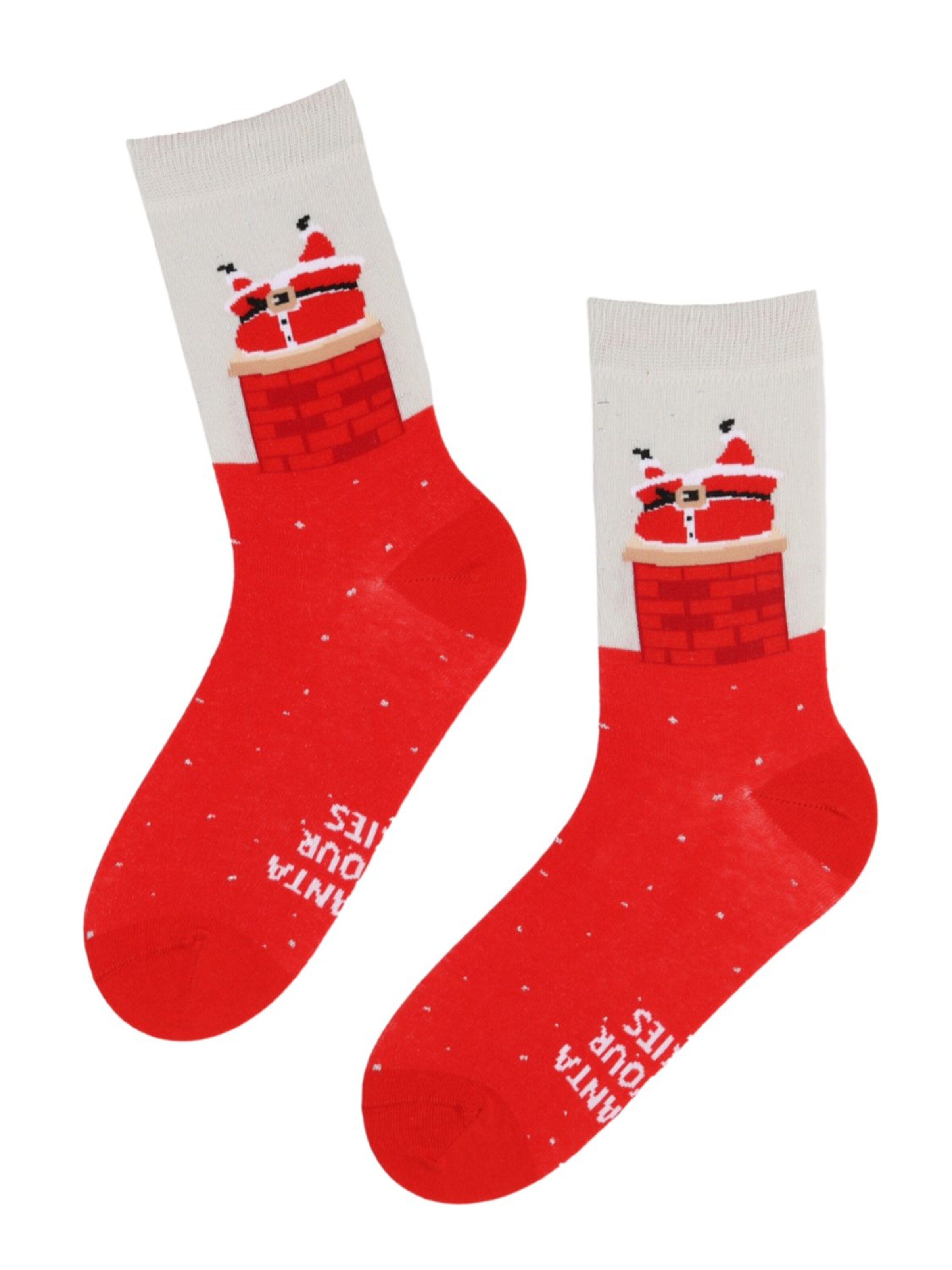 Sokisahtel Socks 'DEAR SANTA cotton socks with Santa' in Red: front