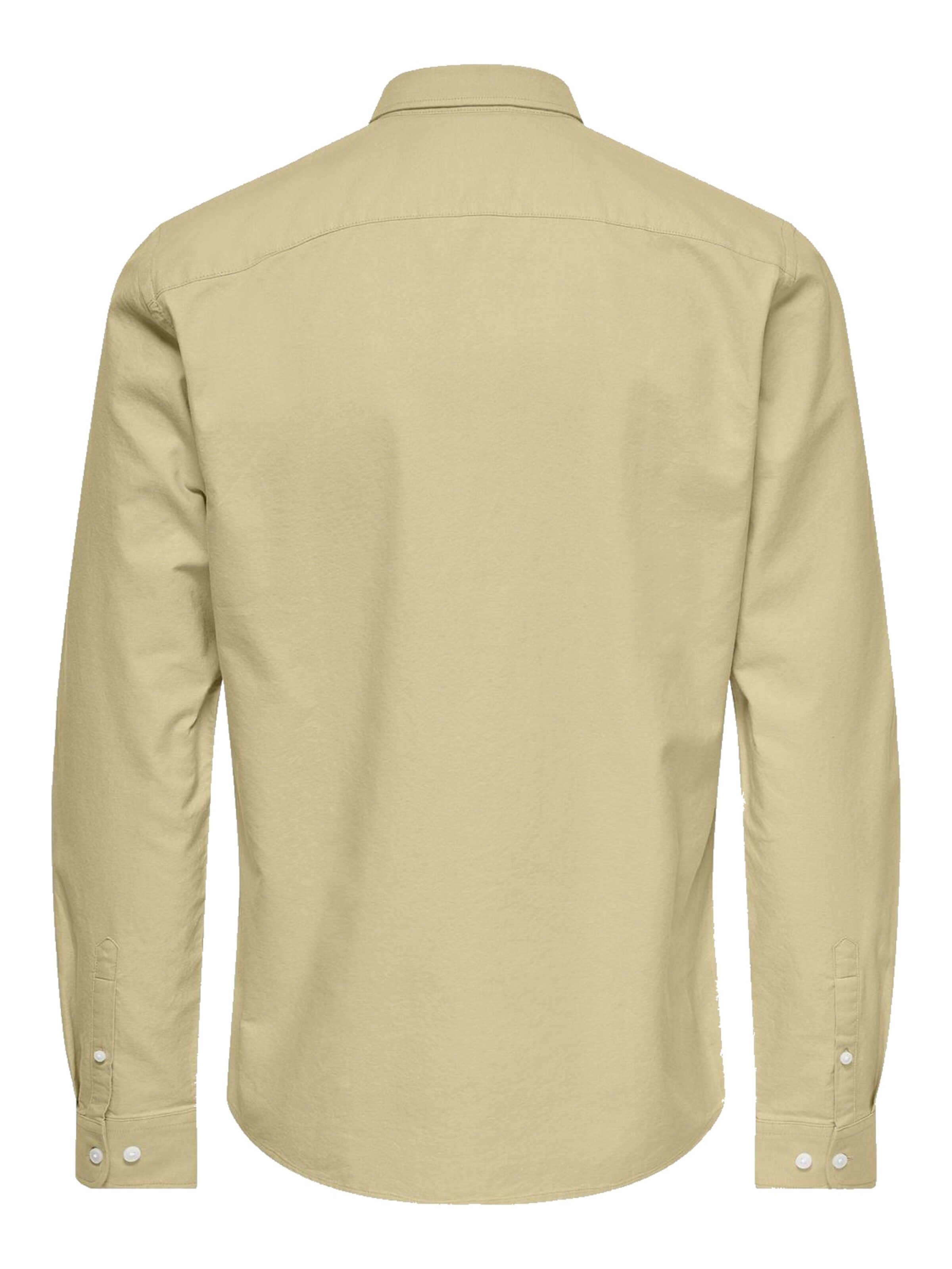 Only & Sons Regular fit Button Up Shirt 'Alvaro' in Beige