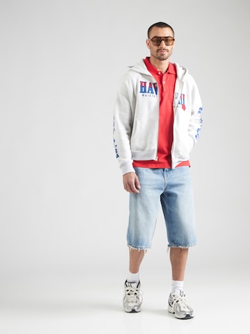 Veste de survêtement HOLLISTER en gris