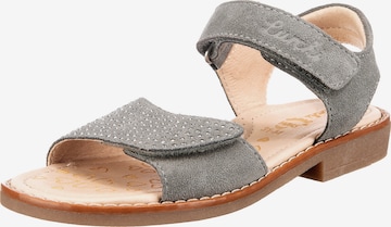 LURCHI Sandals in Grey: front