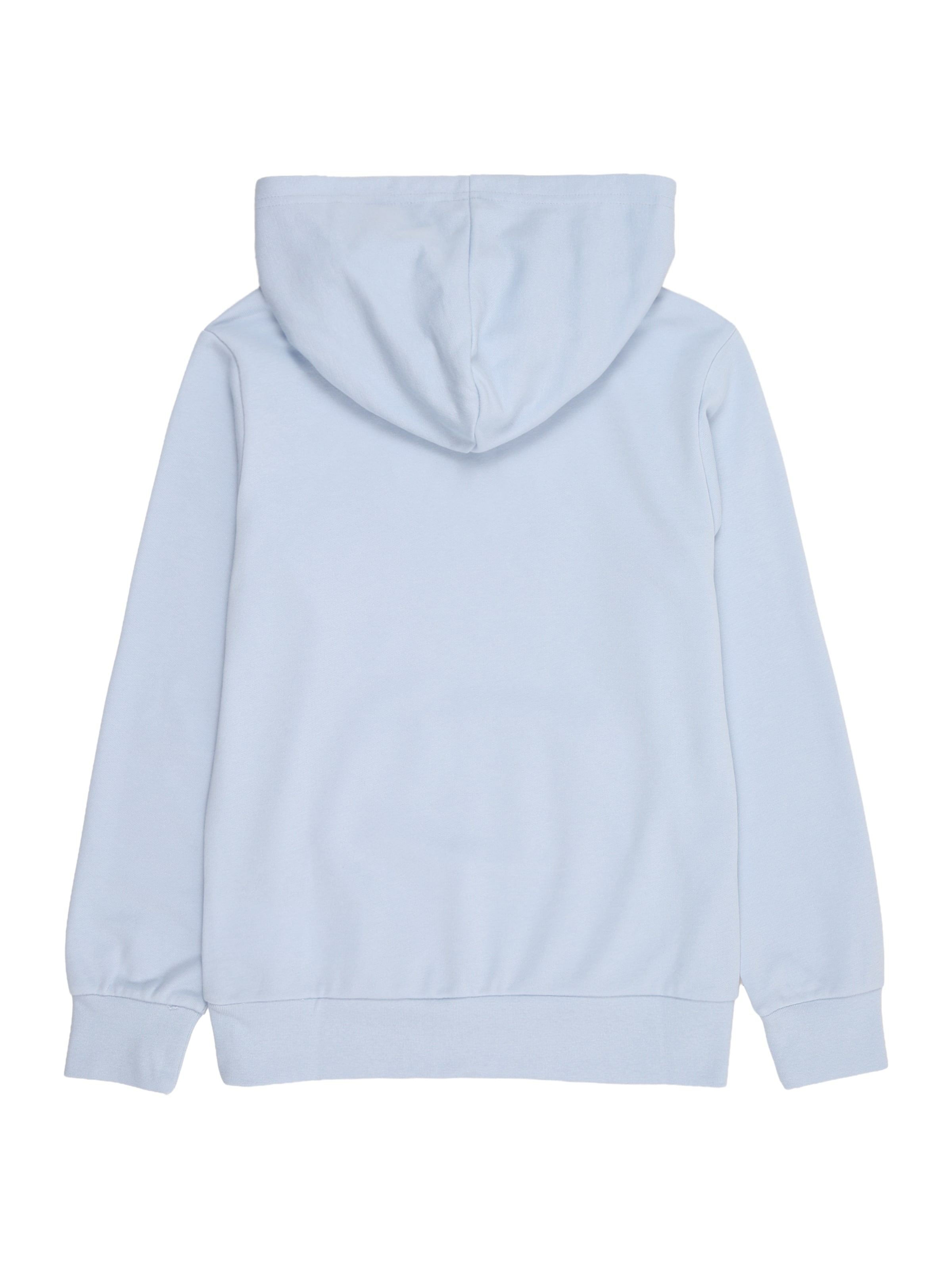Champion Authentic Athletic Apparel Sweatshirt in Blau