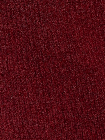 Hiccup Strickkleid 'Strickkleider'‌‌‌‌ in Rot
