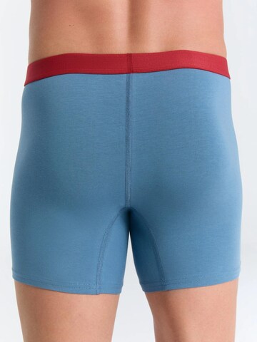 Albero Natur Boxer shorts in Blue