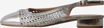 POTI PATI Pumps 'Pumps mit Riemchen' in Grey: front