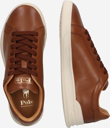 Polo Ralph Lauren Sneakers in Brown