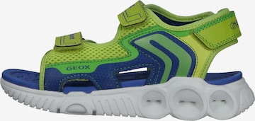 Chaussures ouvertes GEOX en vert