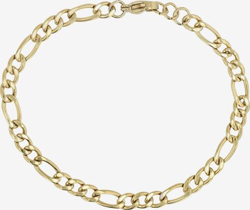 Akzent Bracelet 'Clarinha, hautverträglich' in Gold: front