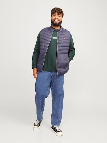 Jack & Jones Plus Sweatshirt 'JORVESTERBRO' in Grün
