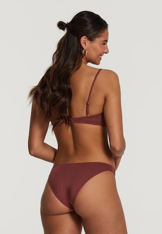 Shiwi Bandeau Bikini 'Zoe' in Brown