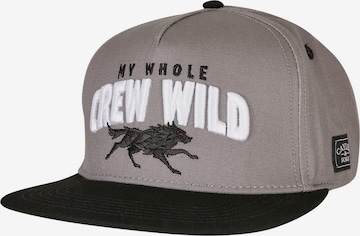 Cappello da baseball 'Crew Wild' di Cayler & Sons in grigio: frontale