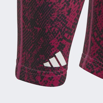 ADIDAS SPORTSWEAR - Skinny Calças de desporto em rosa