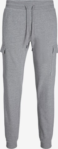 JACK & JONES Cargobroek 'GORDON' in Grijs: voorkant