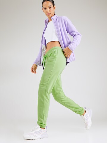 Soccx Zúžený Kalhoty – zelená