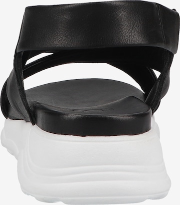 ILC Strap Sandals in Black