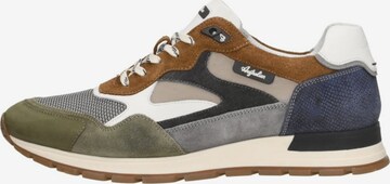 Australian Sneakers 'Tiago' in Grey: front