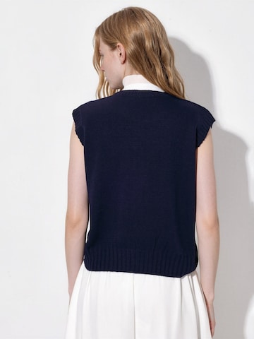 Pullover di Hiccup in blu