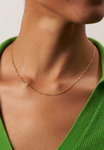 Stilnest Necklace 'Singapore' in Gold: front