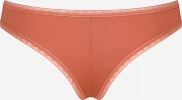 SLOGGI Panty 'GO' in Brown