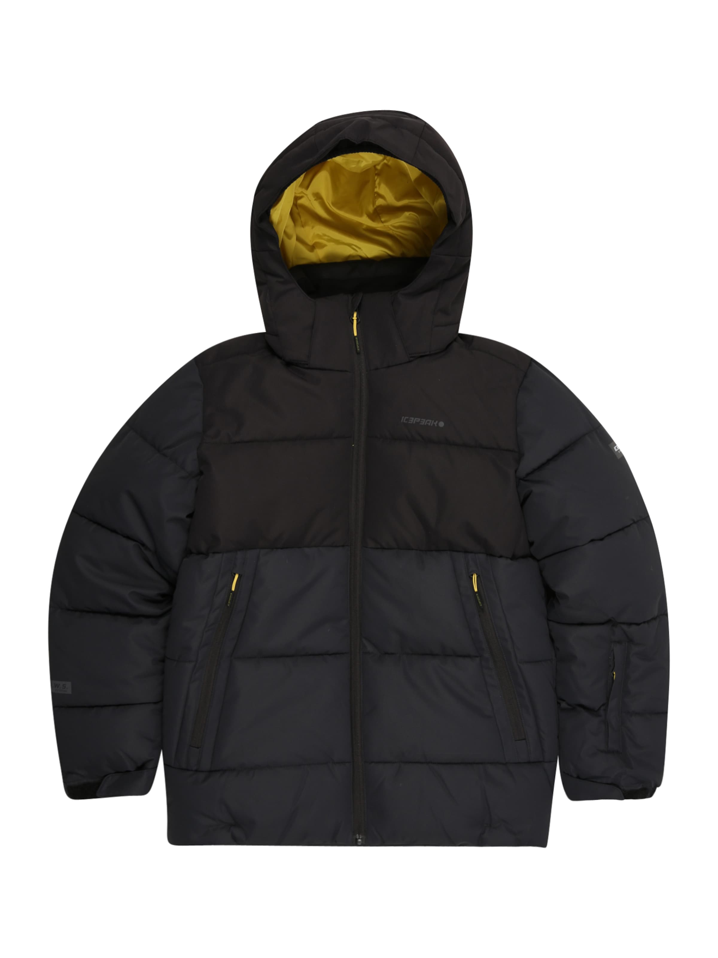 ICEPEAK Αθλητικό μπουφάν 'LOUIN' σε γκρι: μπροστά