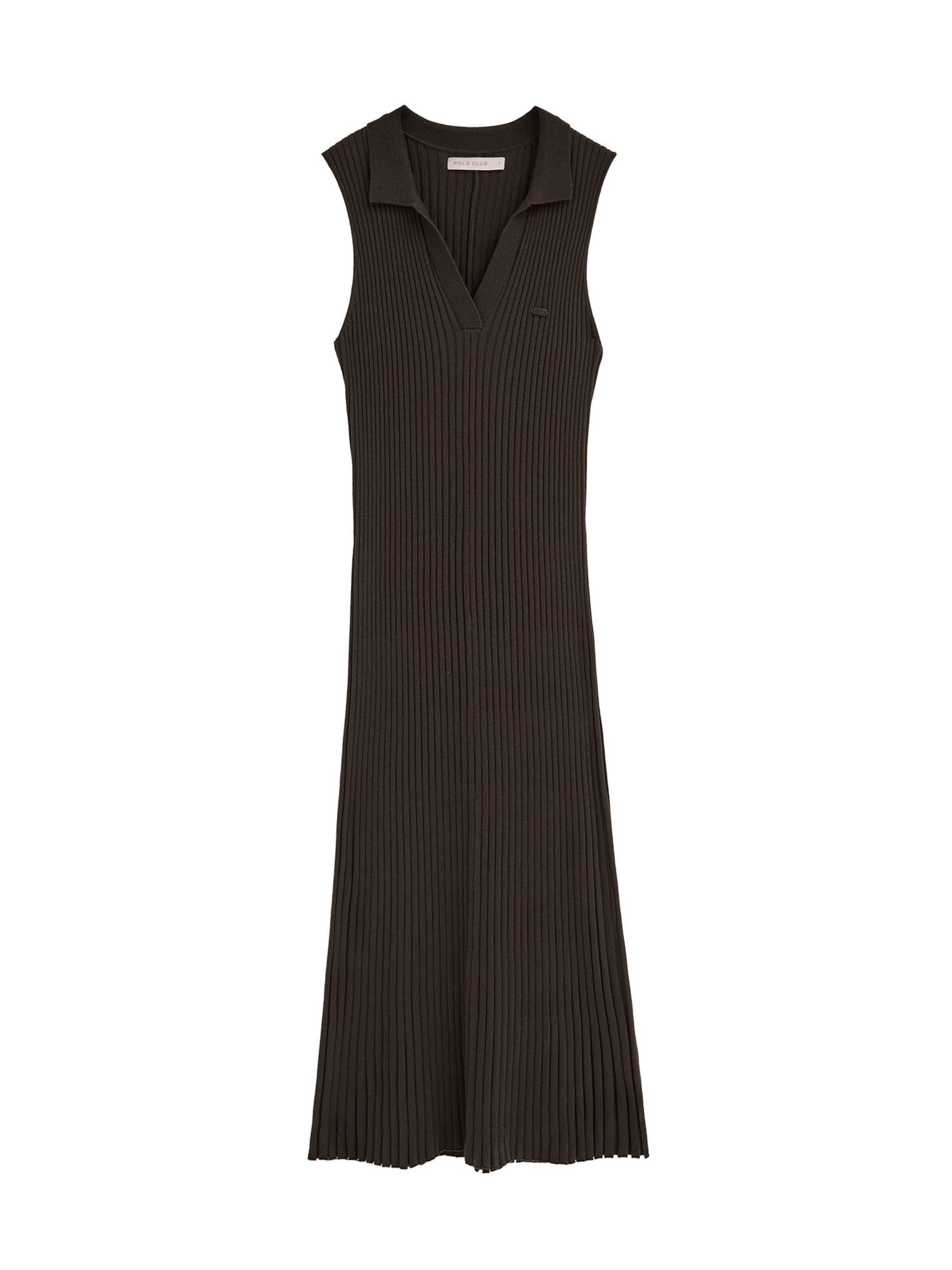 Polo Club Dress 'Atenas' in Brown: front