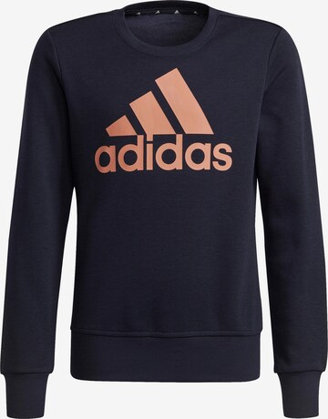 ADIDAS PERFORMANCE Sportief sweatshirt in Zwart: voorkant