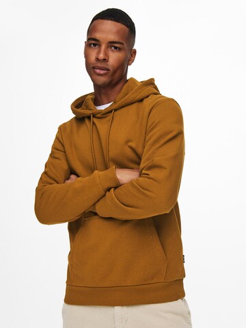 Only & Sons Regular fit Sweatshirt 'Ceres' in Brown