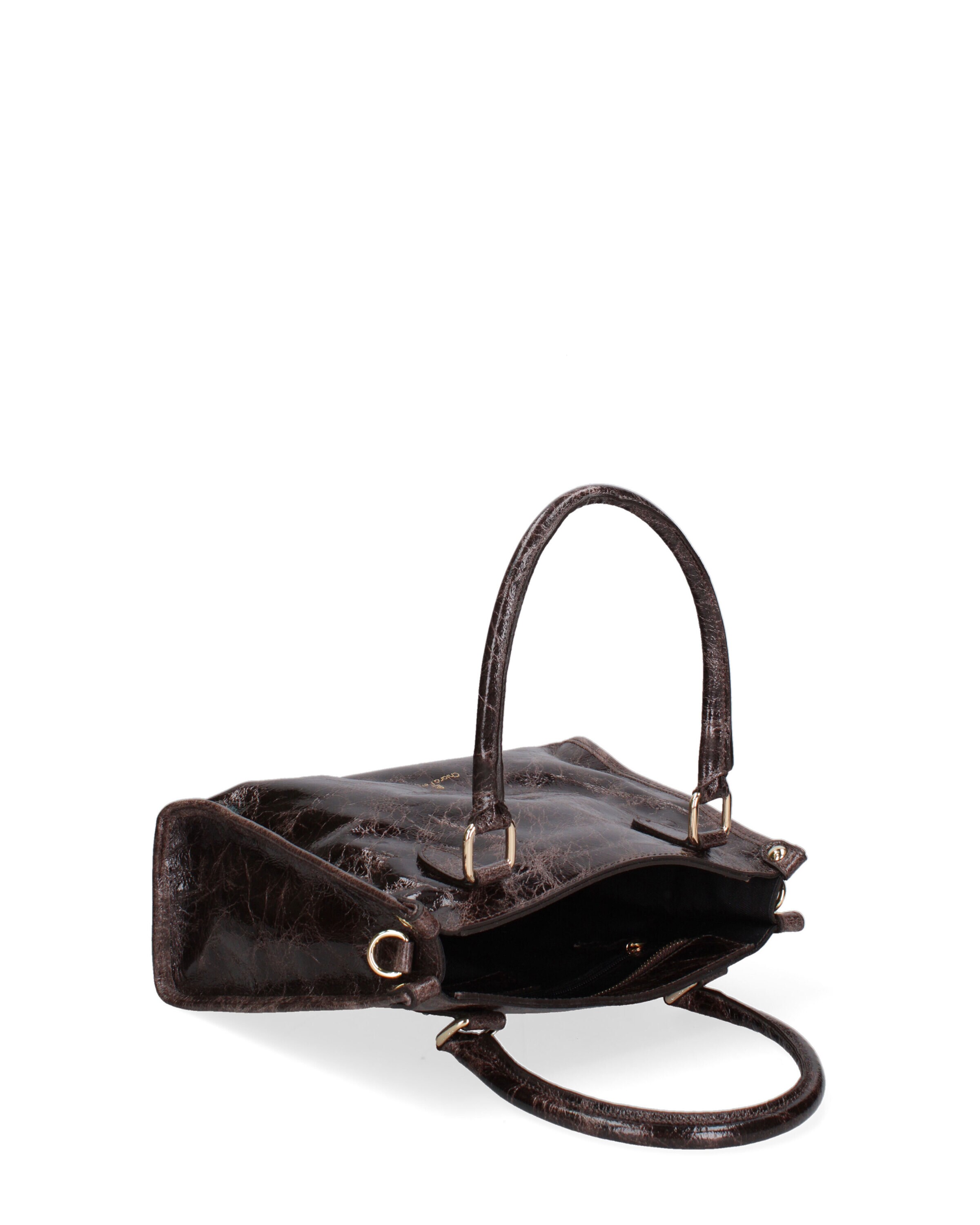 Sacs à main Chiara Ferretti en marron