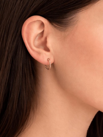 Cala Rose Ohrringe 'BRAIDED HOOPS'‌‌‌‌‌‌ in Gold