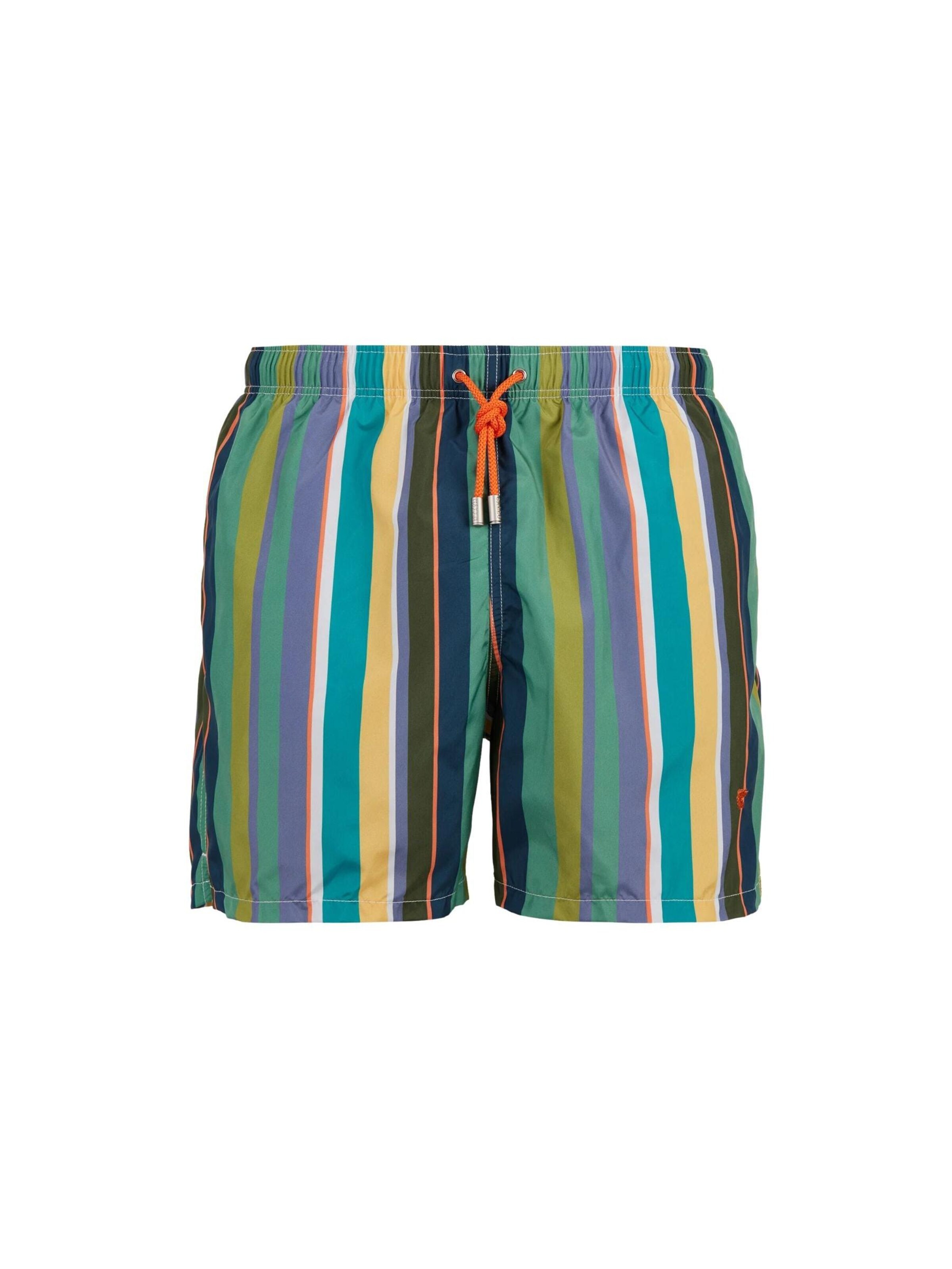 Shorts de bain 'UOMO' Gallo en vert : devant