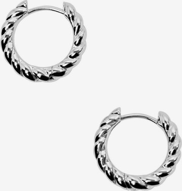 ESPRIT Earrings in Silver