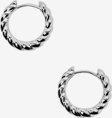 ESPRIT Earrings in Silver