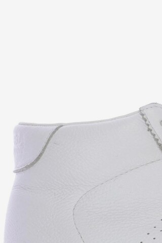 SUPERGA Sneakers & Trainers in 38 in White