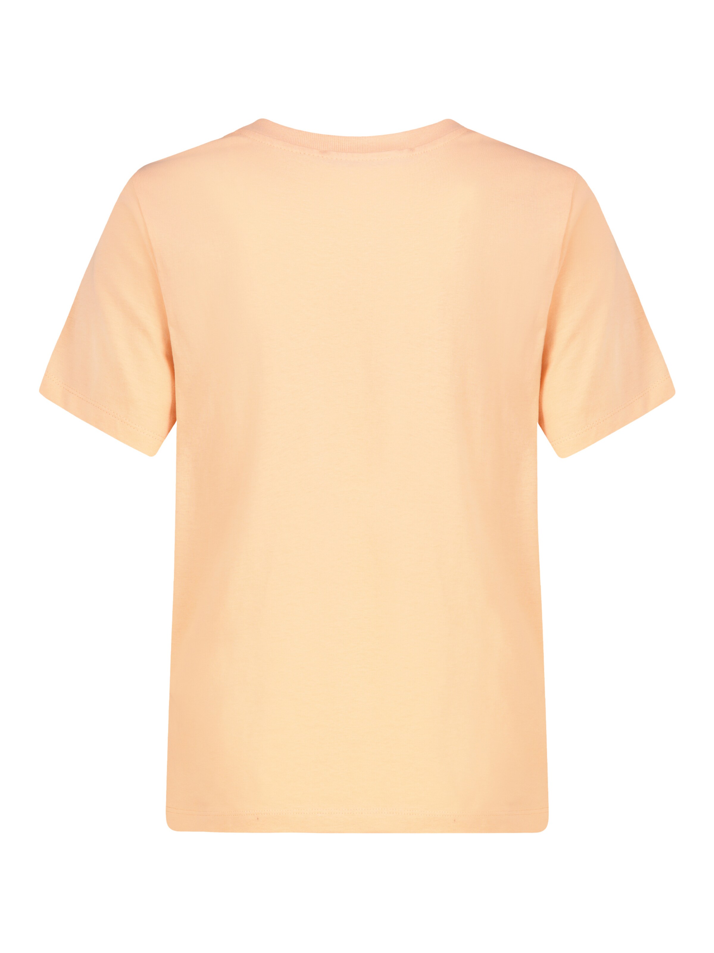 Eight2Nine Shirt in Orange