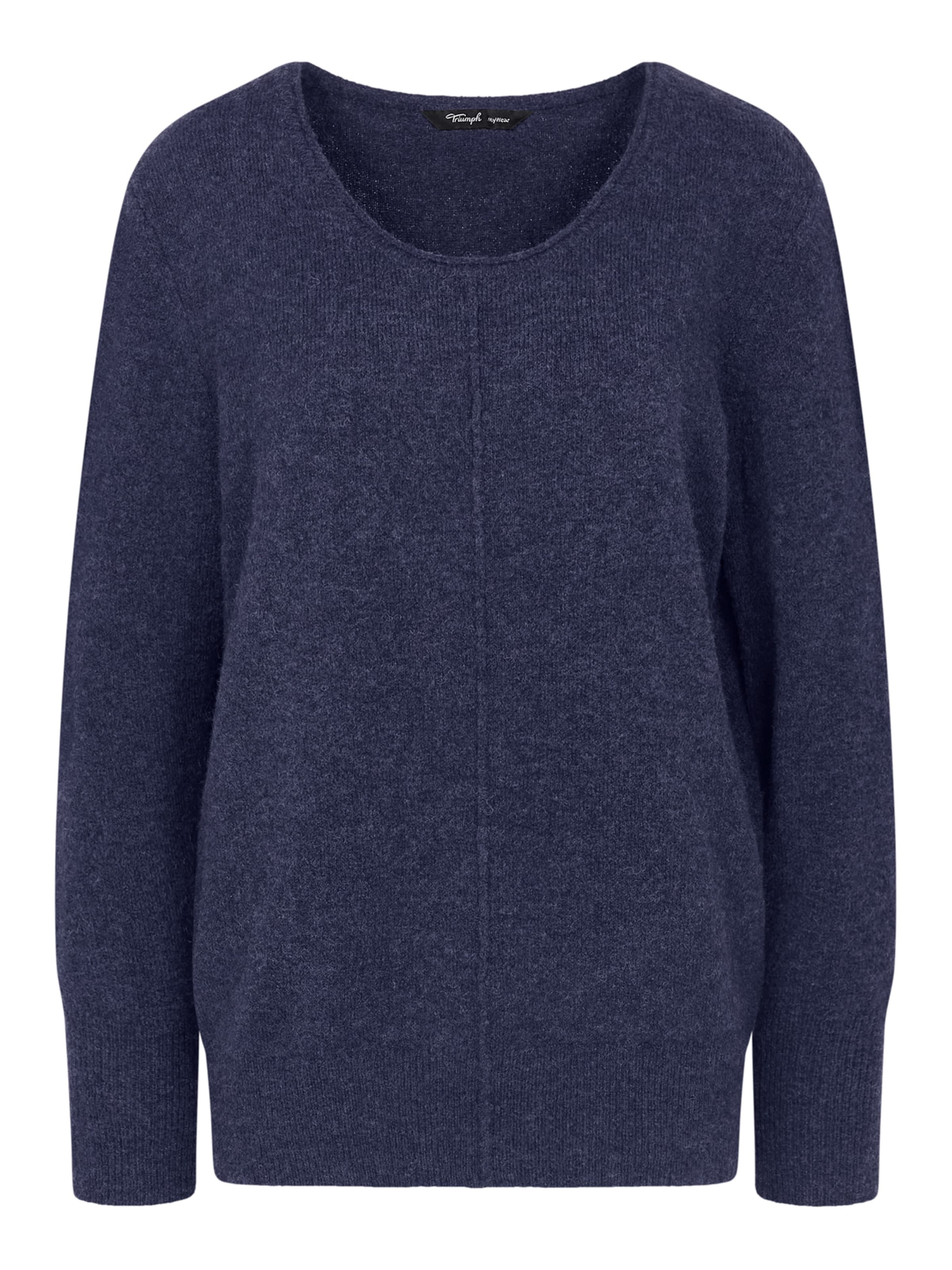 TRIUMPH Sweatshirt ' Amourette Cozy ' in Blau: Vorderseite