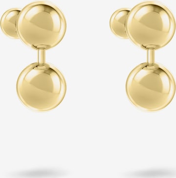 Liebeskind Berlin Ohrringe in Gold: Vorderseite