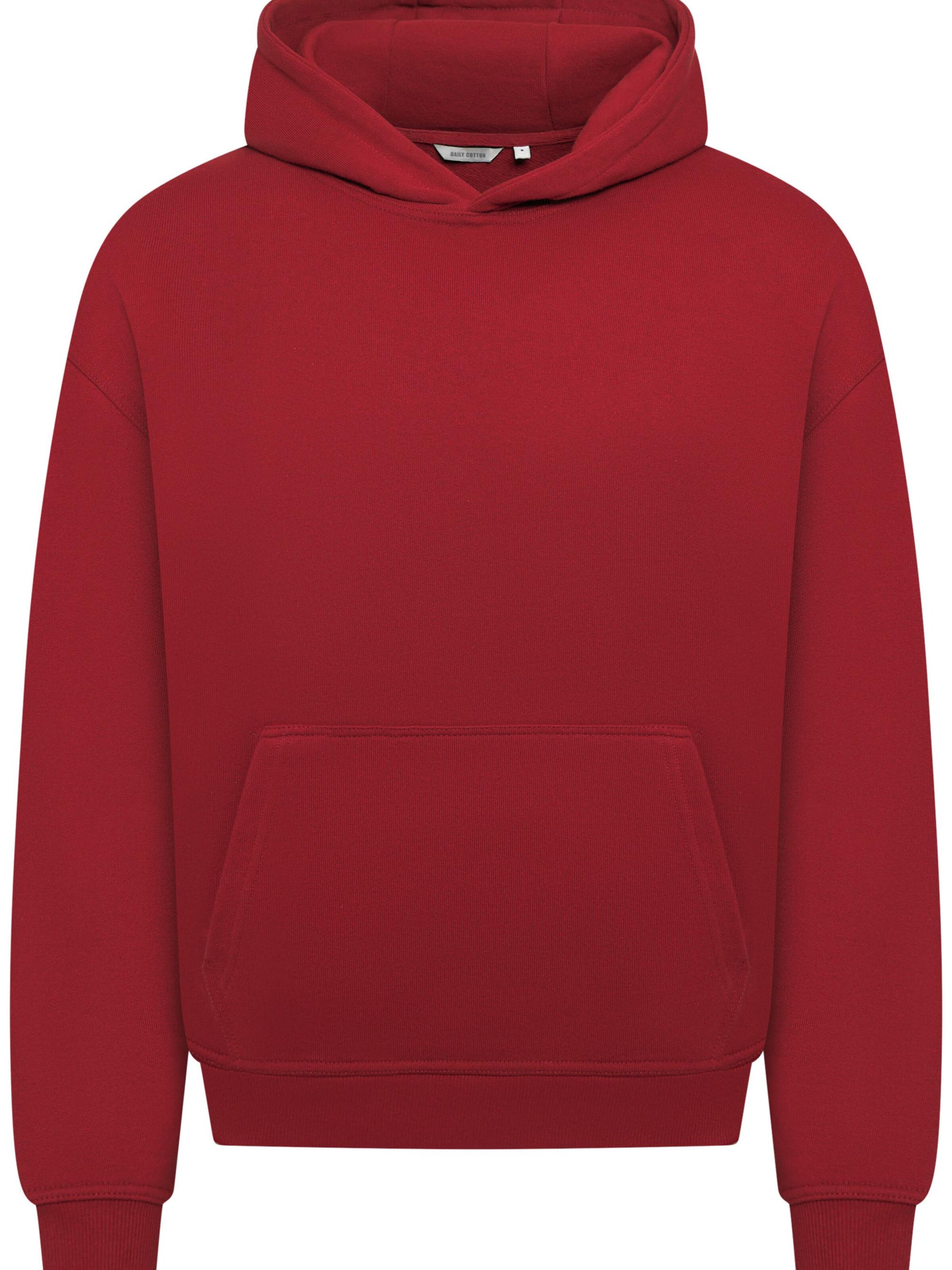 Daily Cotton Sweatshirt 'DCAUSTIN' in Red