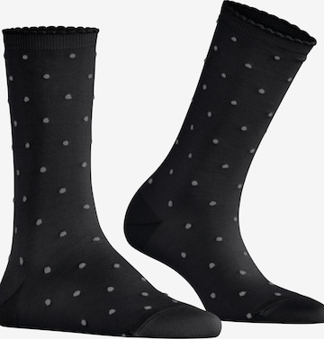 FALKE Socks 'Spike Dot' in Black: front