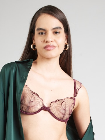 Push-up Reggiseno 'Marabel' di Bluebella in rosso: frontale