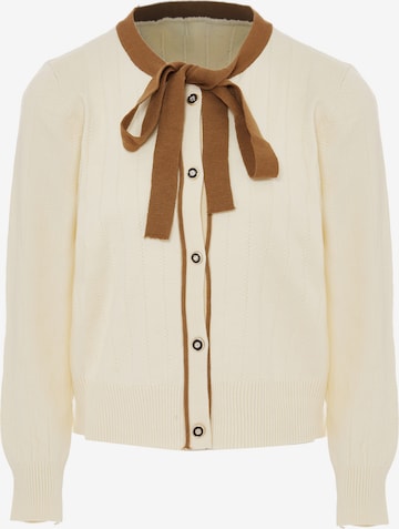NAEMI Strickjacke in Beige: Vorderseite