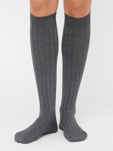 CALZEDONIA Kniestrümpfe in Grau: Vorderseite