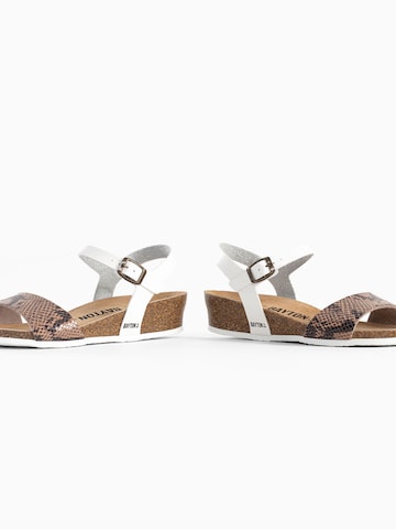 Bayton Remsandal 'Wodonga' i beige