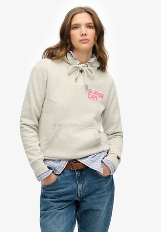Superdry Sweatshirt in Grey: front