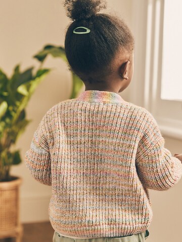 Next Strickjacke in Mischfarben